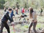 Расширяя… зелёный почин