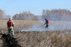 В Богородском округе объявили о начале пожароопасного сезона