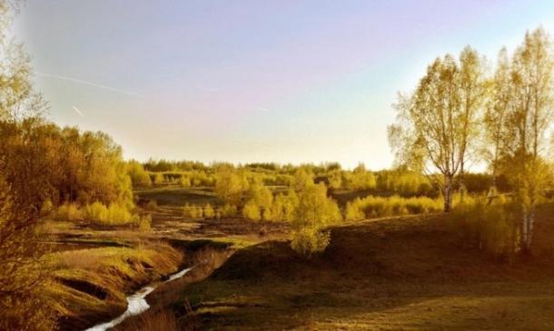 Богородский водоканал заплатит 1,2 млн руб. за вред реке Рязанке