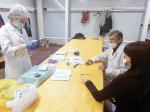 Вакцинация – по месту работы