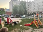 «Рейдерский» захват