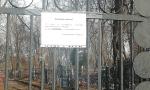 Весенние заботы плюс дезинфекция
